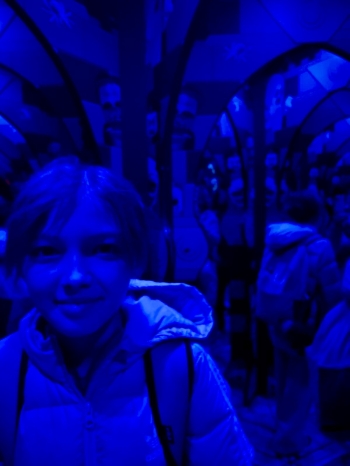 d9692a6a-3cd2-42c8-8930-b0610f855f1c