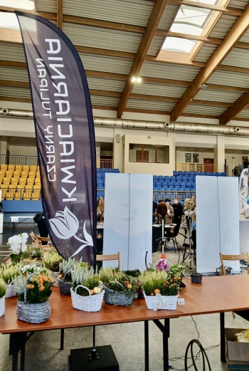 8b8fc846-0d52-439d-a694-ccbbcc002583