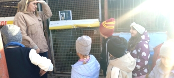 1a63c9cb-53ed-4241-9a6d-fa4e47ca6f26