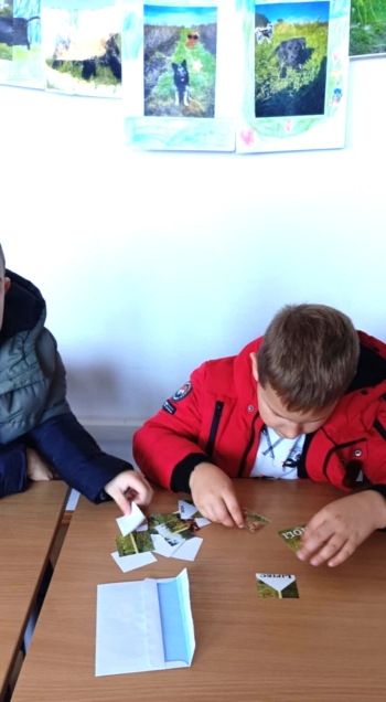 1df4cdb8-6d44-4663-94f2-38ebf74d23e2