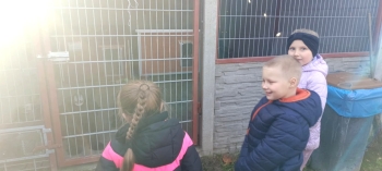 3e4c1aed-888c-4cbc-8be2-d58ae082e34d