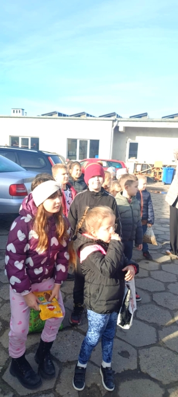 de44a34a-68fb-4b8e-a786-7a818c2c0cff