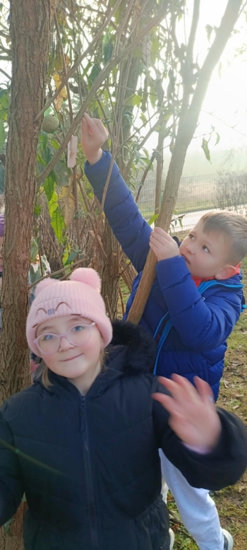 1deaf5ad-50a5-4274-9652-cc10b6f20361