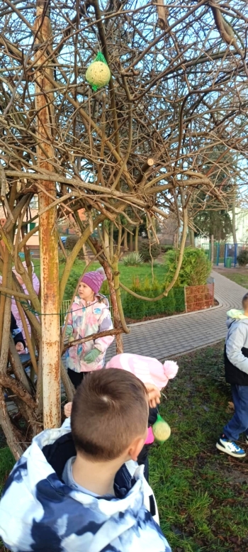 ac185519-9f12-49d7-be9b-7e062cb60db4