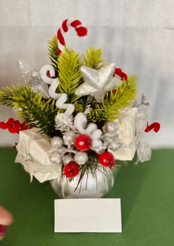 Anastazja Karaban kl. 6a