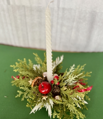 Aleksandra Kapusta kl. 2b