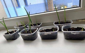 att.DlLXao3NyC1yOqGq7RUdML7TPfWVsbOpMvq_zKDAnmI