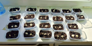 att._zWP4BMqKreOsbOWOzSrNWPeaxxk9HOzQR4S1HbNsNg