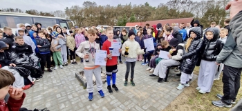 5550f3cc-2ca0-4a67-ad26-d3b51d3b9d66