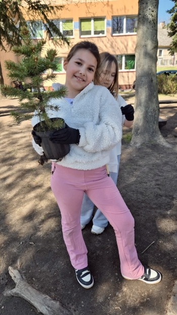 91e0ba56-2c87-49e1-805c-4d58ff64d33b