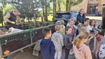 75be8cd8-dcd6-4bf9-8933-9d04fe502fdc