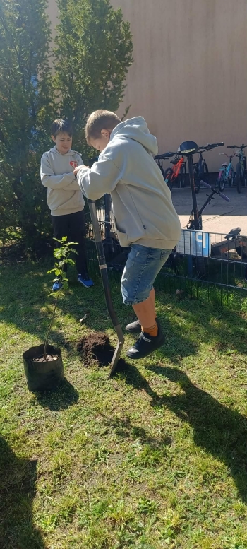 9506b2d6-15fd-4b03-b664-651cf3700758