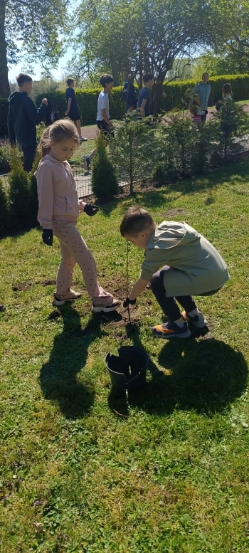 23b2b55c-c7bc-4a06-832b-3ce67473a9ef