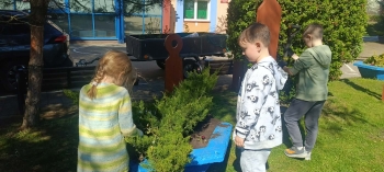 a8f3252a-a5a7-491c-ba2c-ce54be8d3a03