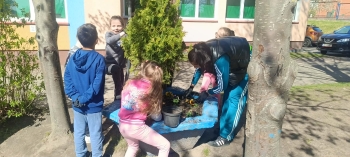 bcd49f32-b663-4c2f-a83d-defe06dad2d5