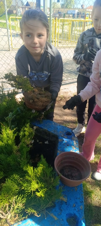 4ba88bcc-94b0-42ee-9a3f-c588ecf3e263