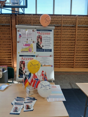 090925cb-6fdc-4da5-b281-8bca01bc5d15.JPG